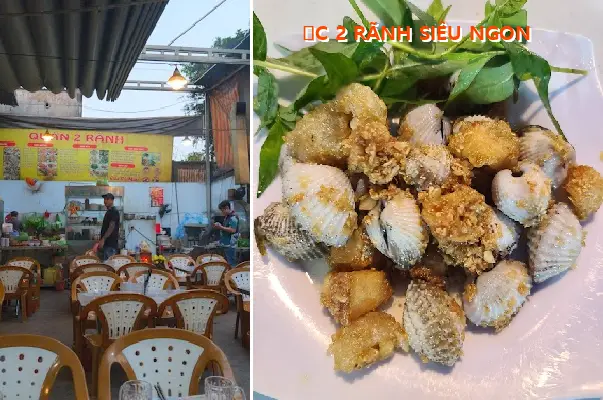 SUPER DELICIOUS TWO-GROOVED SNAILS