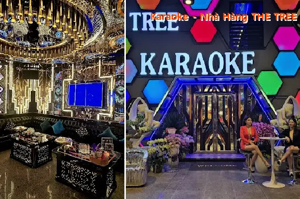 Karaoke - Restaurant THE TREE 221 Phan Van Tri