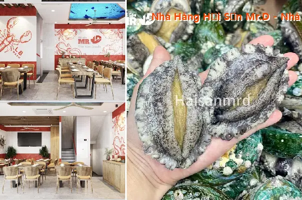 Mr.D Seafood Restaurant - Tan Binh Seafood Restaurant