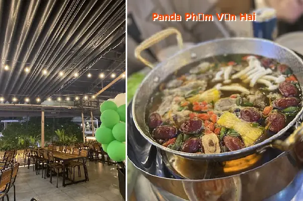 Panda Pham Van Hai