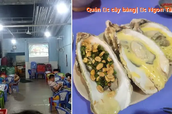 Snail restaurant with banyan tree | Delicious snails in Tan Phu