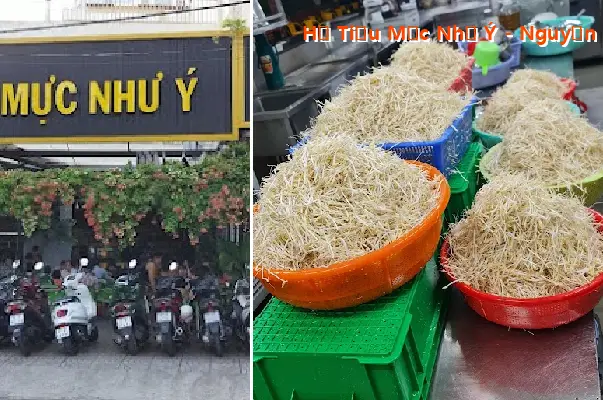 Hu Tieu Muc Nhu Y - Nguyen Son