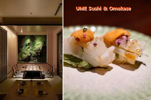 UME Sushi & Omakase