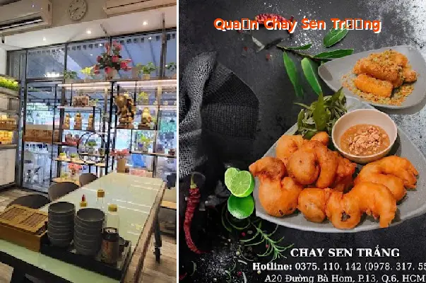 White Lotus Vegetarian Restaurant