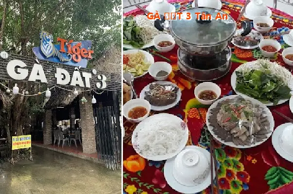 Tan An 3 Free-Range Chicken