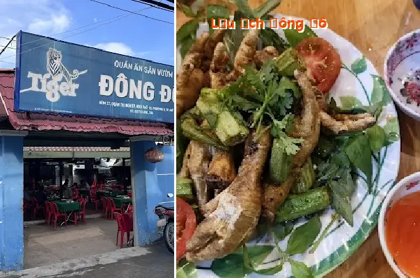 Dong Do Frog Hot Pot