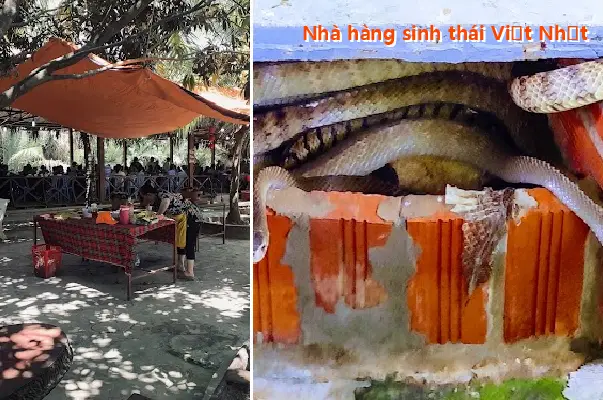 Vietnamese-Japanese Eco-Restaurant