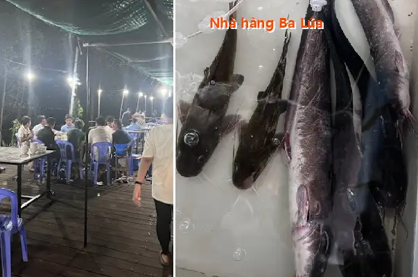 Top 9 Nhà Hàng, Quán ăn nổi tiếng tại Phường Cao Lãnh, Đồng Tháp (Phần 2)