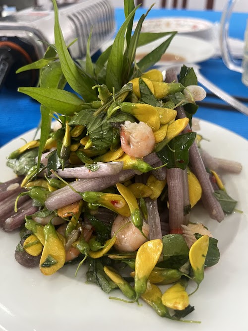 Top 15 Nhà Hàng, Quán ăn nổi tiếng tại Phường Cao Lãnh, Đồng Tháp 