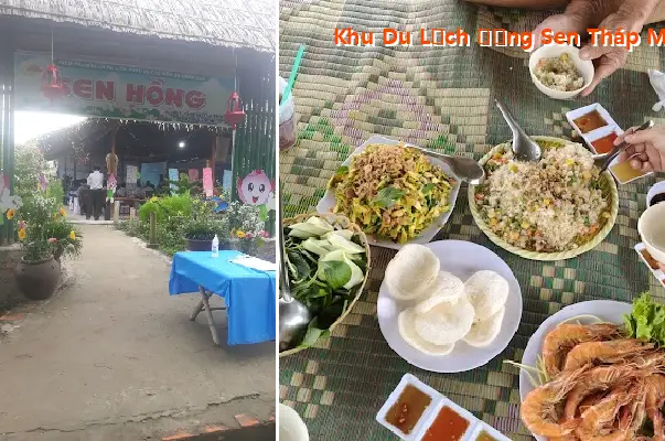 Thap Muoi Lotus Field Tourist Area