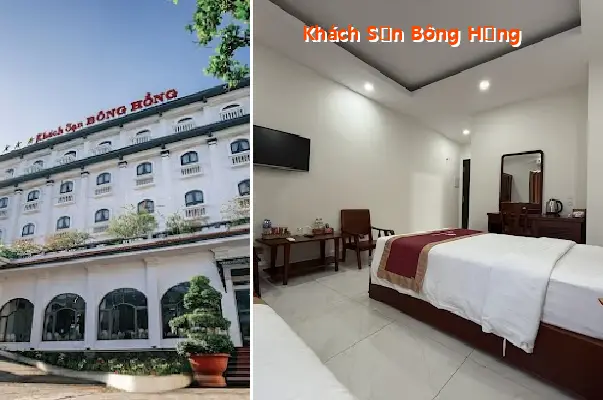 Rose Hotel