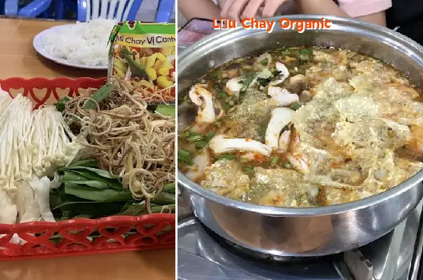 Organic Vegetarian Hot Pot