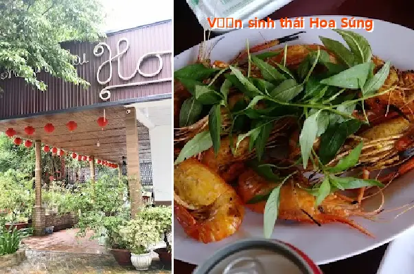 Water Lily Ecological Garden