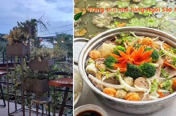 Little Star Farm Restaurant