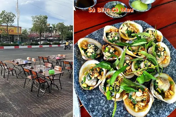 Sea cucumbers from Ca Mau