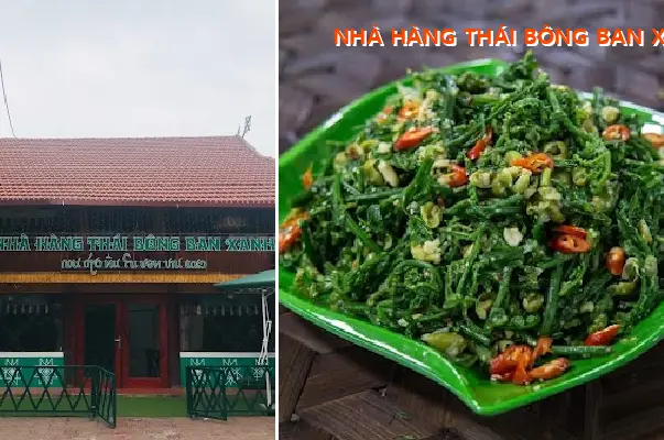 BONG BAN XANH THAI RESTAURANT, LAO CAI