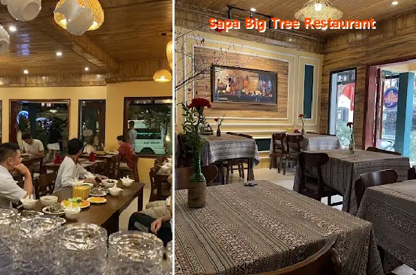 Sapa Big Tree Restaurant