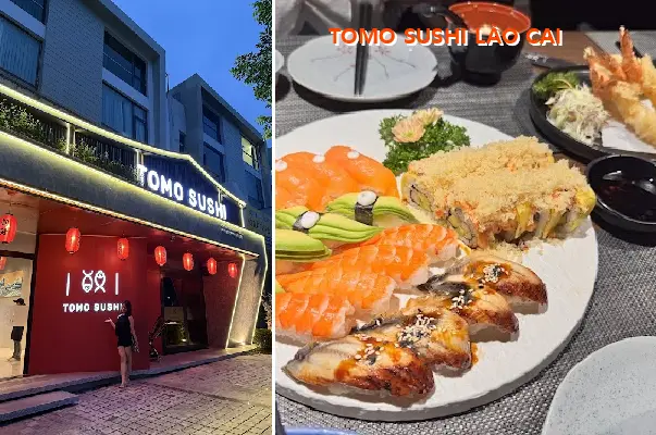 TOMO SUSHI LAO CAI