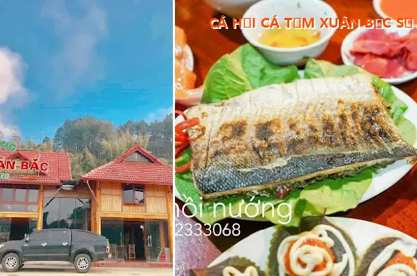 SALMON AND STURGEON FROM XUAN BAC, NUMBER 1 IN CHIENG DI