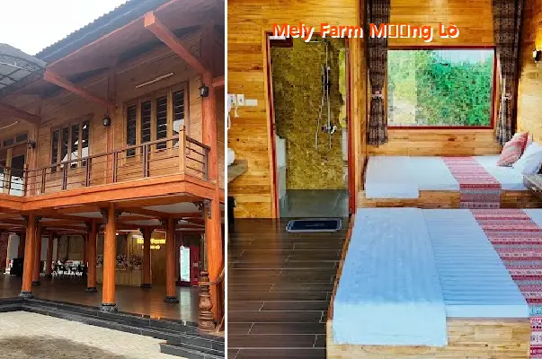 Mely Farm Muong Lo