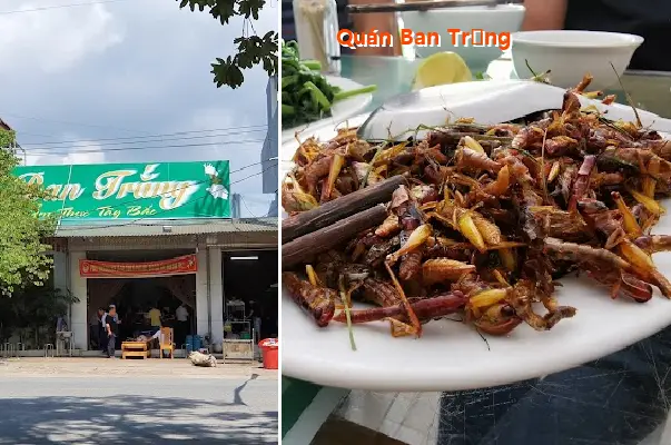 Ban Trang Restaurant