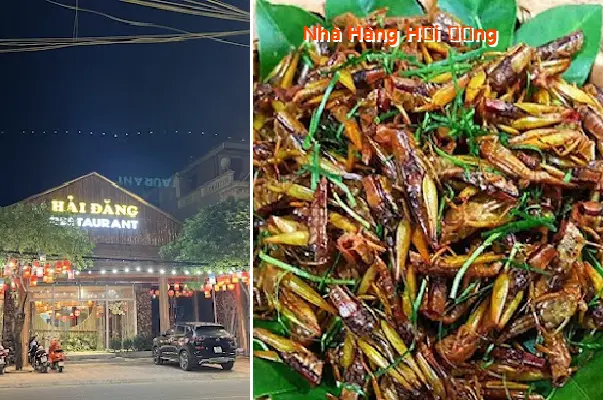 Hai Dang Restaurant