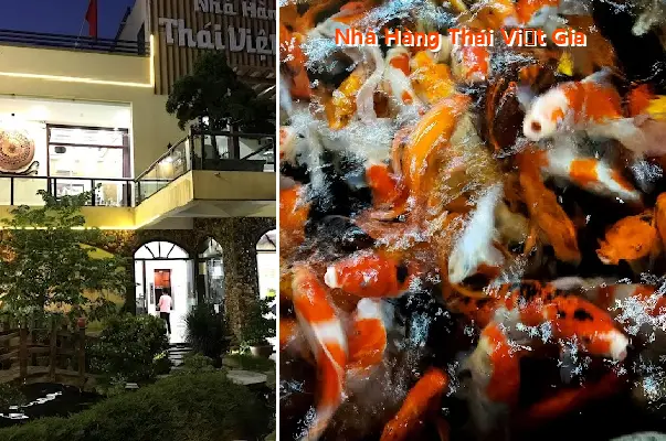 Thai Viet Gia Restaurant