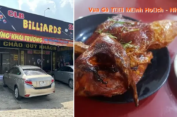 King of Fresh Chicken Manh Hoach - Cao Phong Restaurant CS6