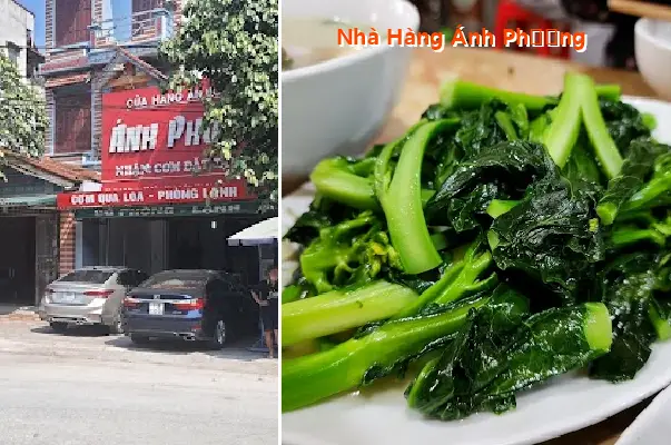 Top 9 Nhà Hàng, Quán ăn nổi tiếng tại Xã Bình Gia, Lạng Sơn (Phần 2)