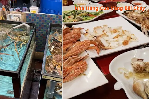Golden Crab Restaurant, Bai Chay