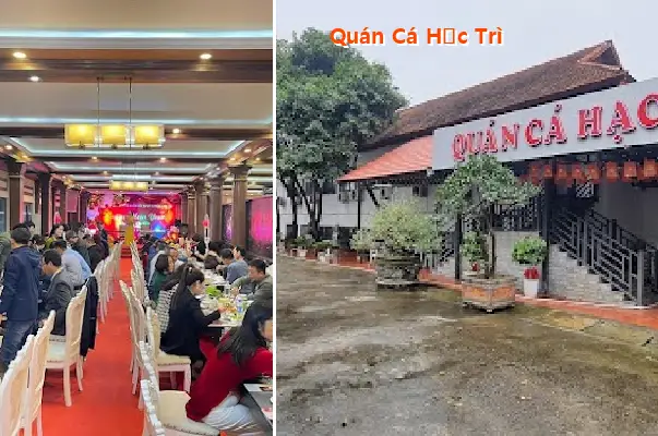 Hac Tri Fish Restaurant