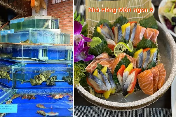 Delicious Dishes Restaurant 6