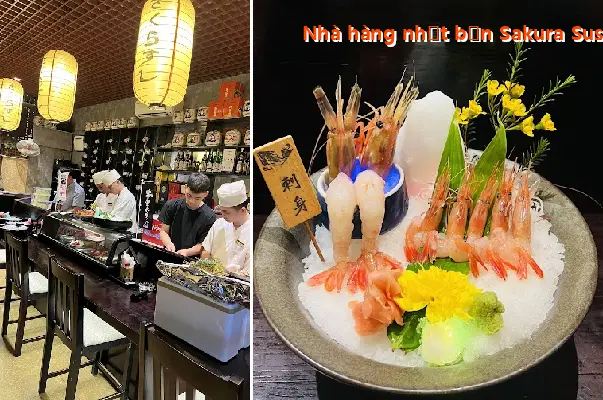 Sakura Sushi Japanese Restaurant.Cs1