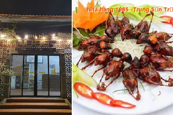 1985 Restaurant - Trung Son Tram