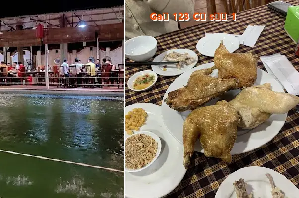 Chicken 123 Branch 1