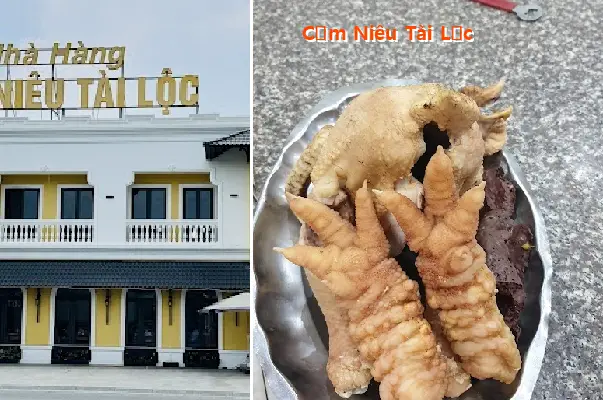 Clay Pot Rice for Good Fortune