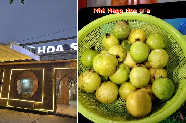 Hoa Sua Restaurant