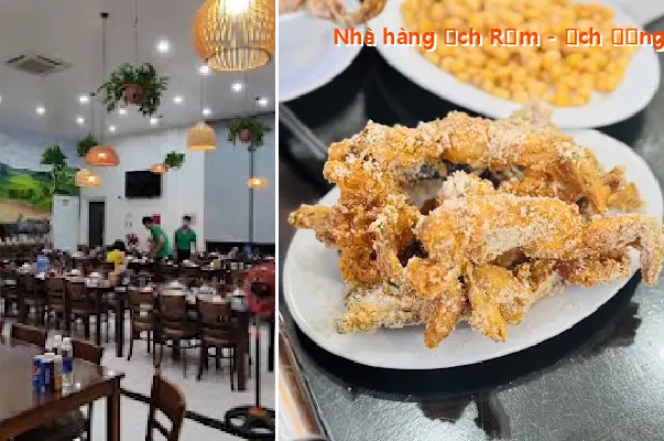 Frog Restaurant - Kien Thuy Frog Restaurant