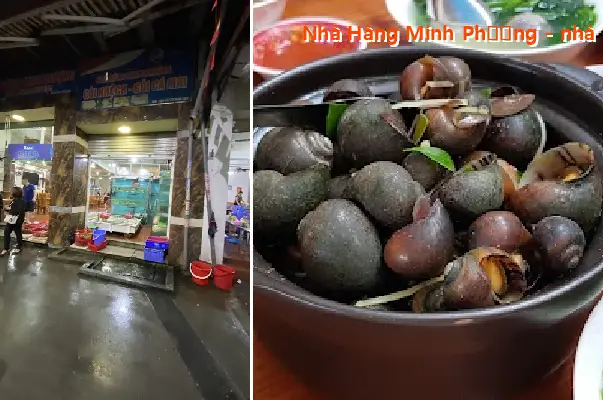 Minh Phuong Restaurant - a restaurant serving delicious, high-quality fresh seafood in Hai Phong.