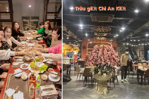 Buffaloes jerking around Chi An Kiet