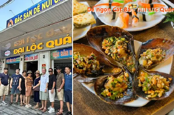 Delicious goat meat from Cat Ba - Dai Loc Quan 84