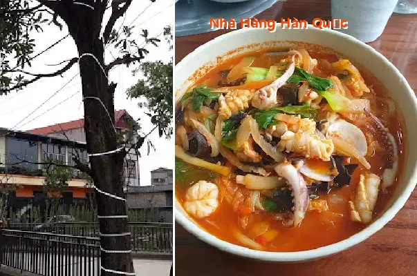 Korean Restaurant