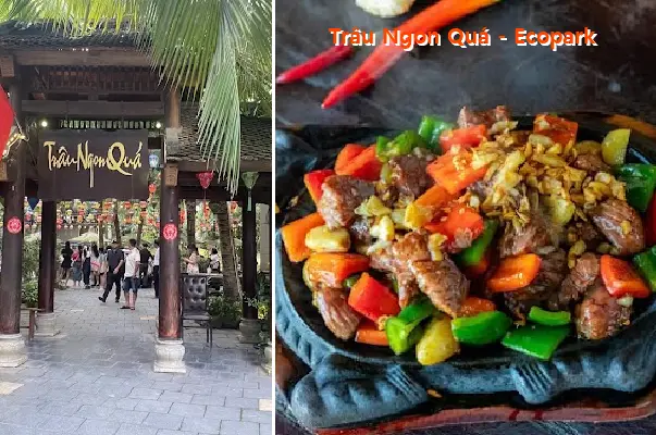 The buffalo meat is delicious - Ecopark