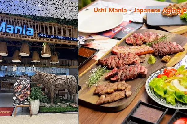 Ushi Mania - Japanese Aging Beef & Bar (Lotte West Lake)