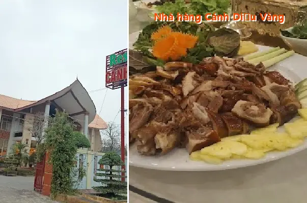 Golden Kite Restaurant