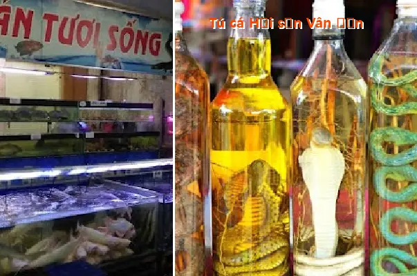 Tu Ca Seafood Van Don