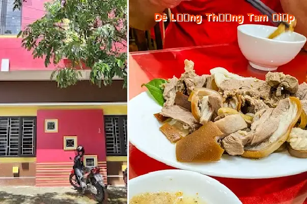 Goat of Luong Thuong Tam Diep