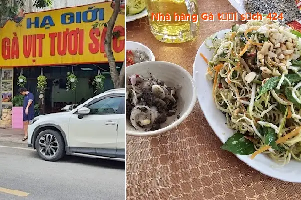 Fresh and Clean Chicken Restaurant 424