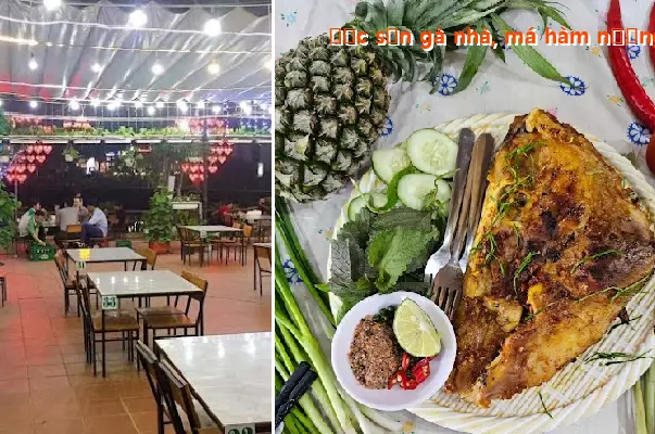 Specialty: Home-raised chicken, grilled chicken cheek with salt and chili - Lua Moi Restaurant