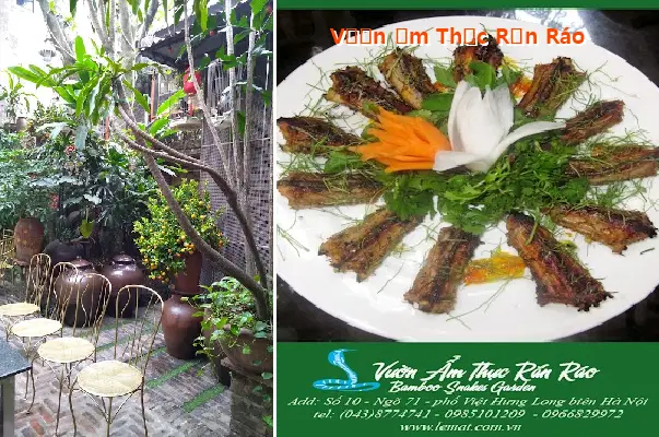 Snake and Feast Garden